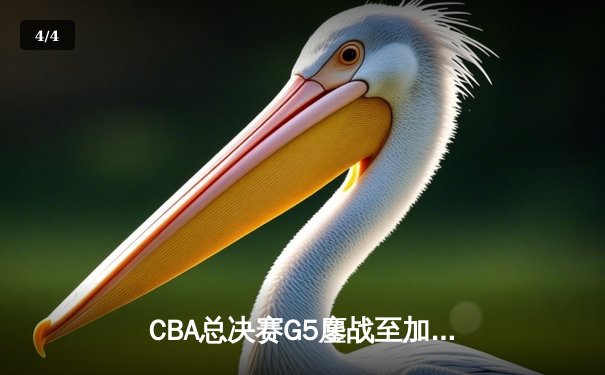 CBA总决赛G5鏖战至加时，辽宁男篮逆转夺冠实现三连冠伟业 - 4